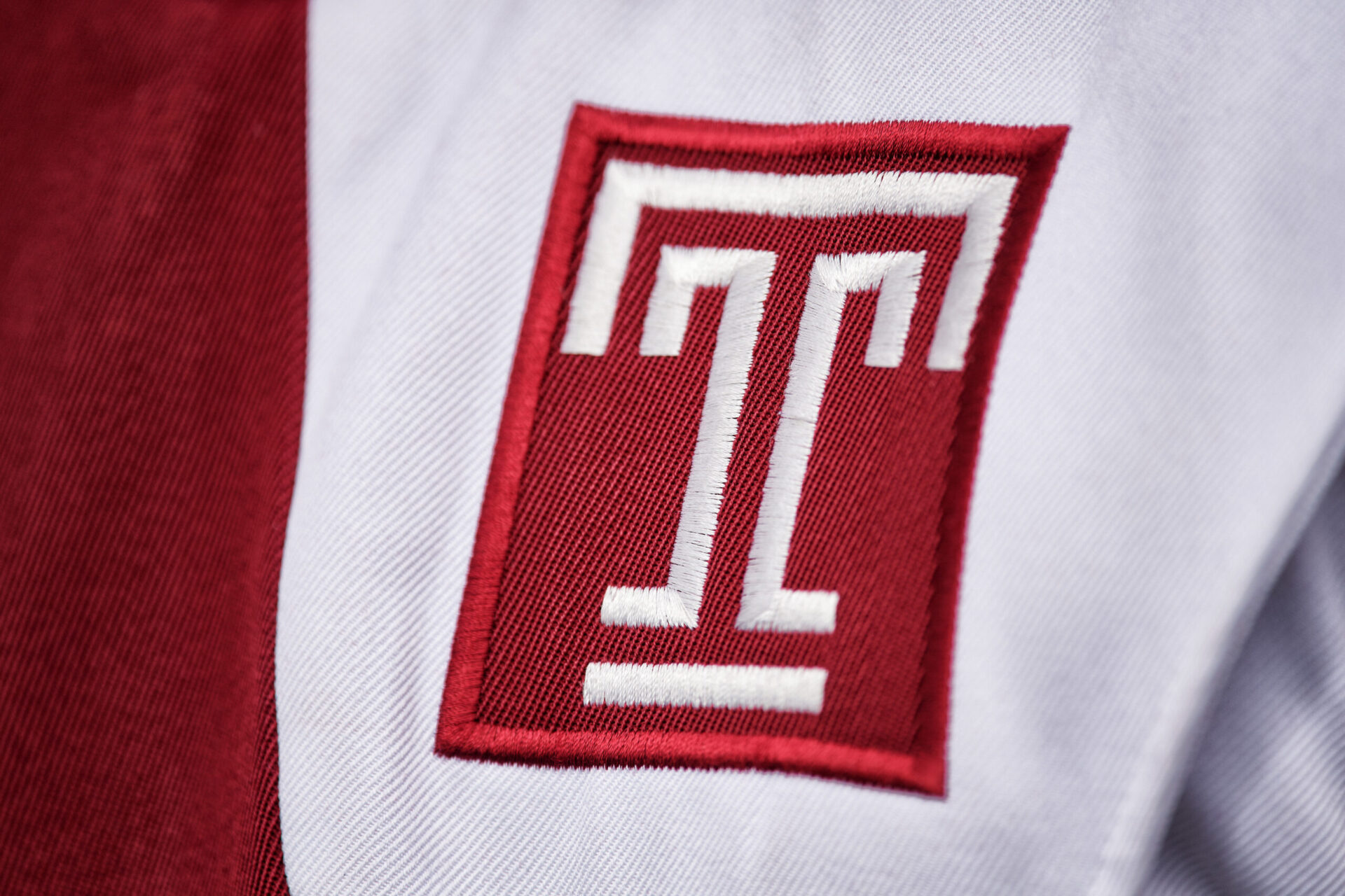 JoAnne A. Epps, Temple