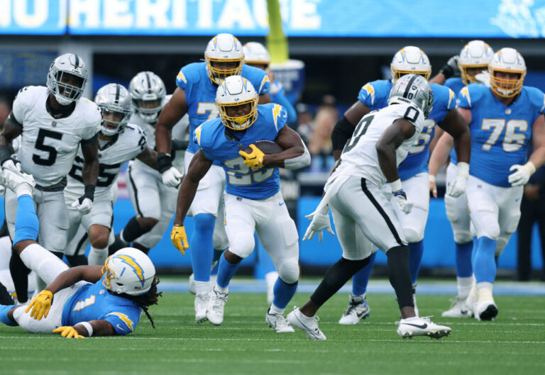 football fans, fight