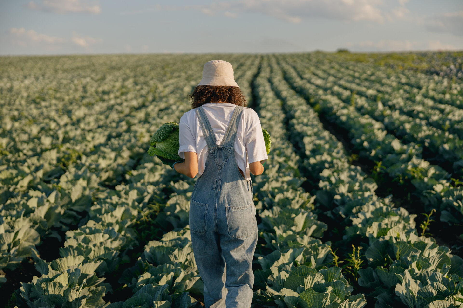 NMSDC, Black farmers