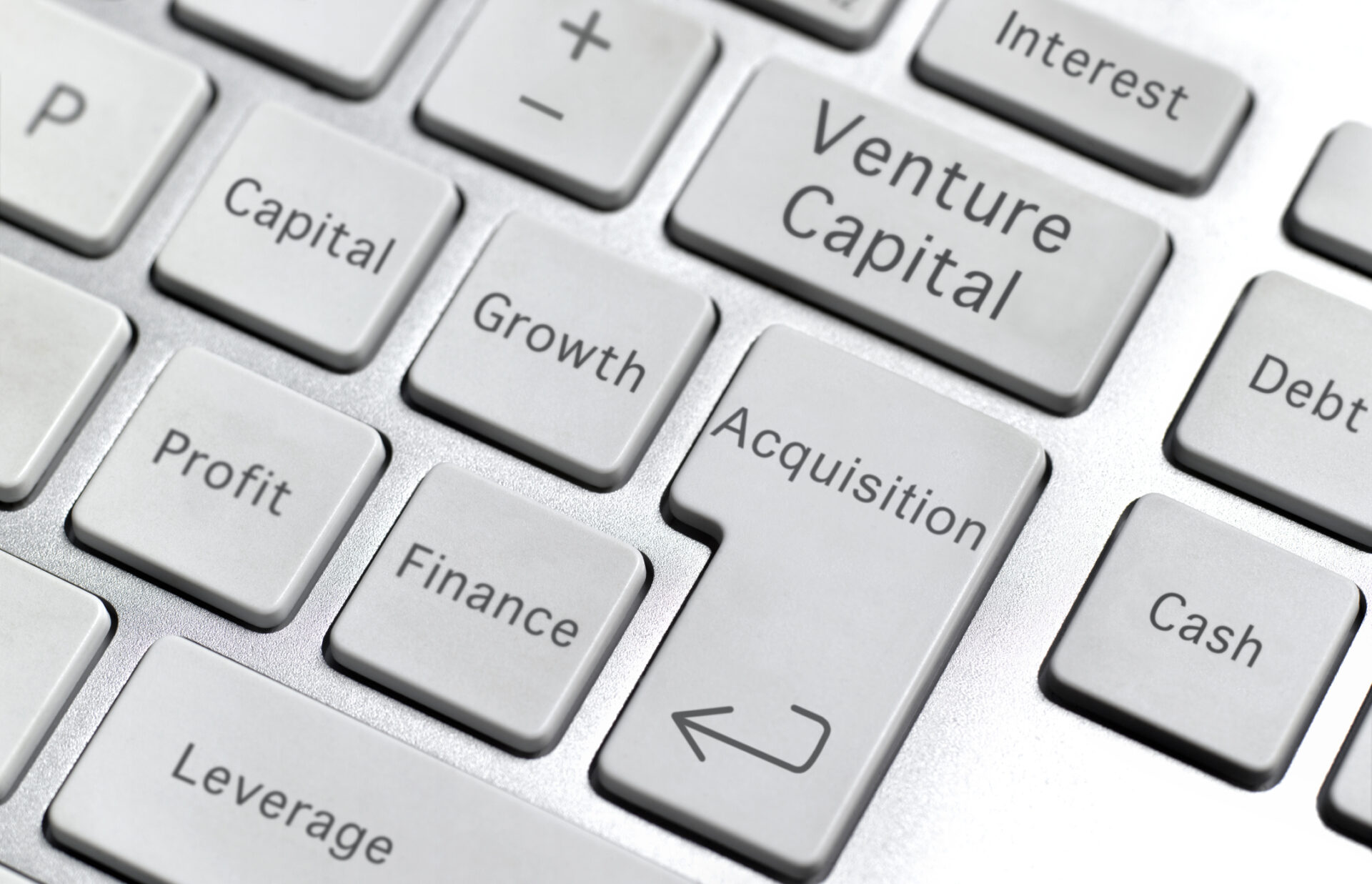 venture capital, venture capital