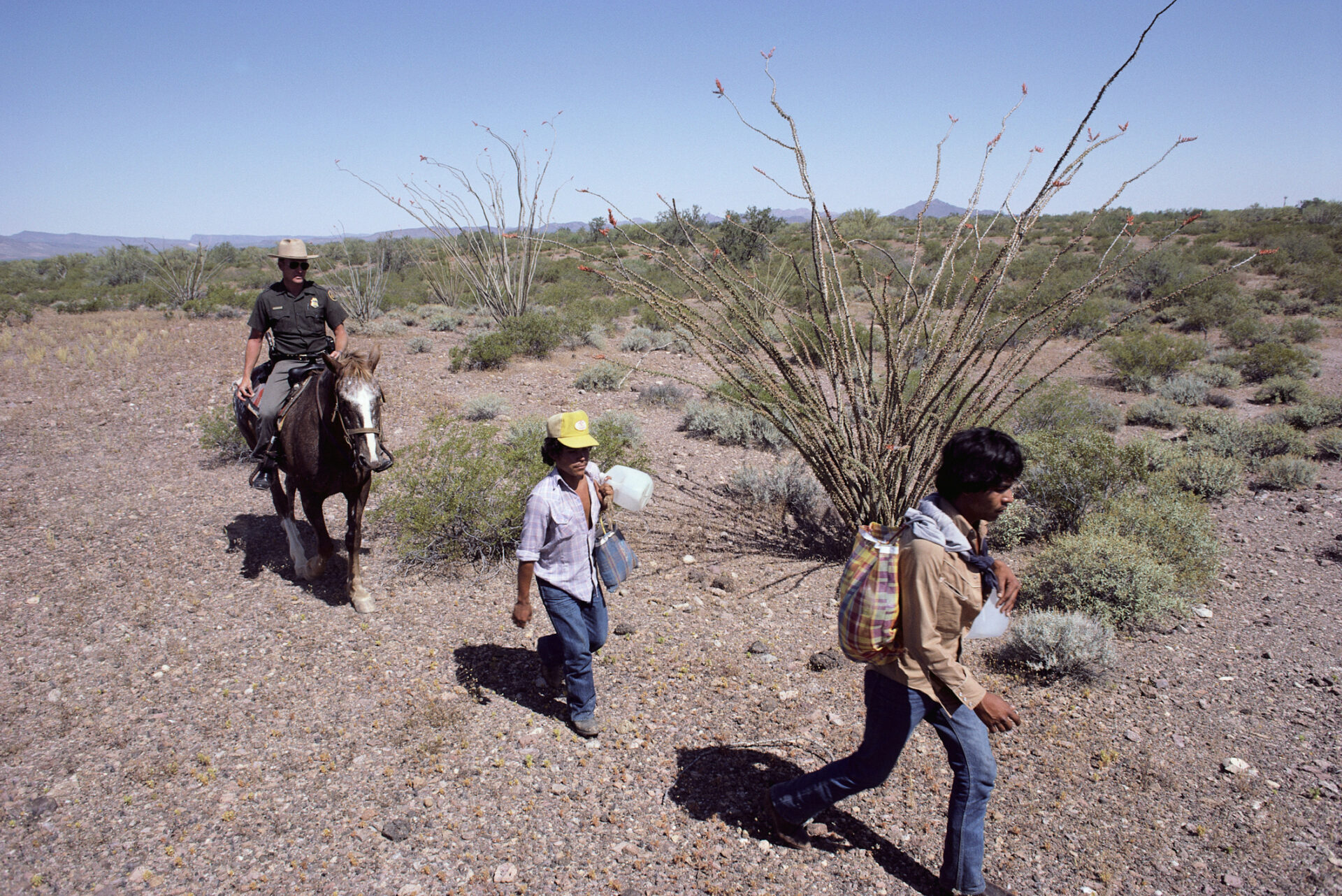 immigration, illegal immigration, migrants