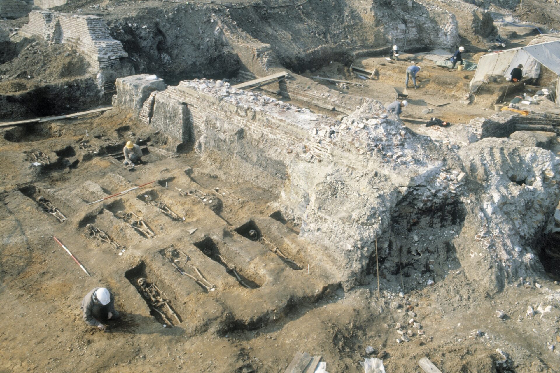 Black Death, The Black Death