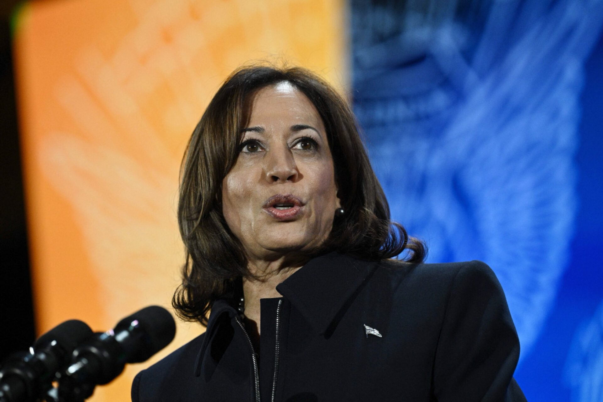 Kamala Harris, book tour, Gaza, Pro-Palestine protests