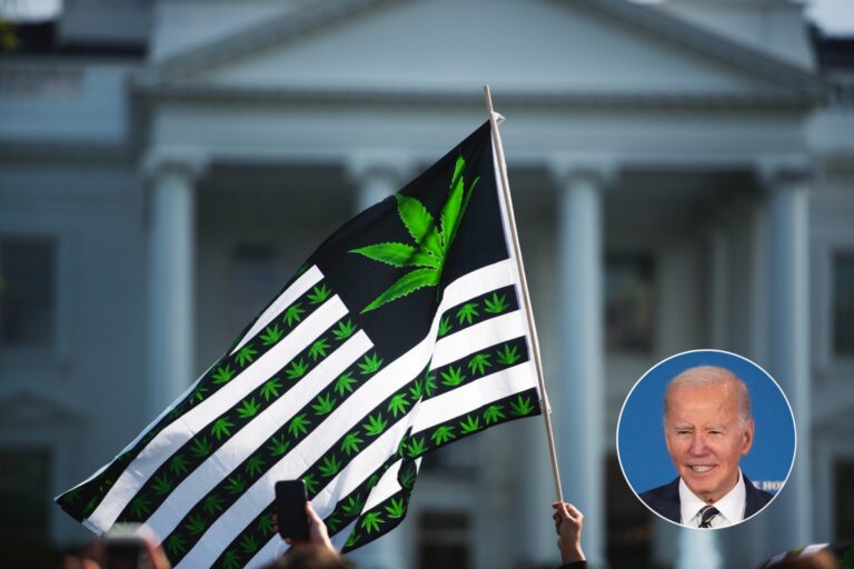 presidential pardons, Joe Biden, president