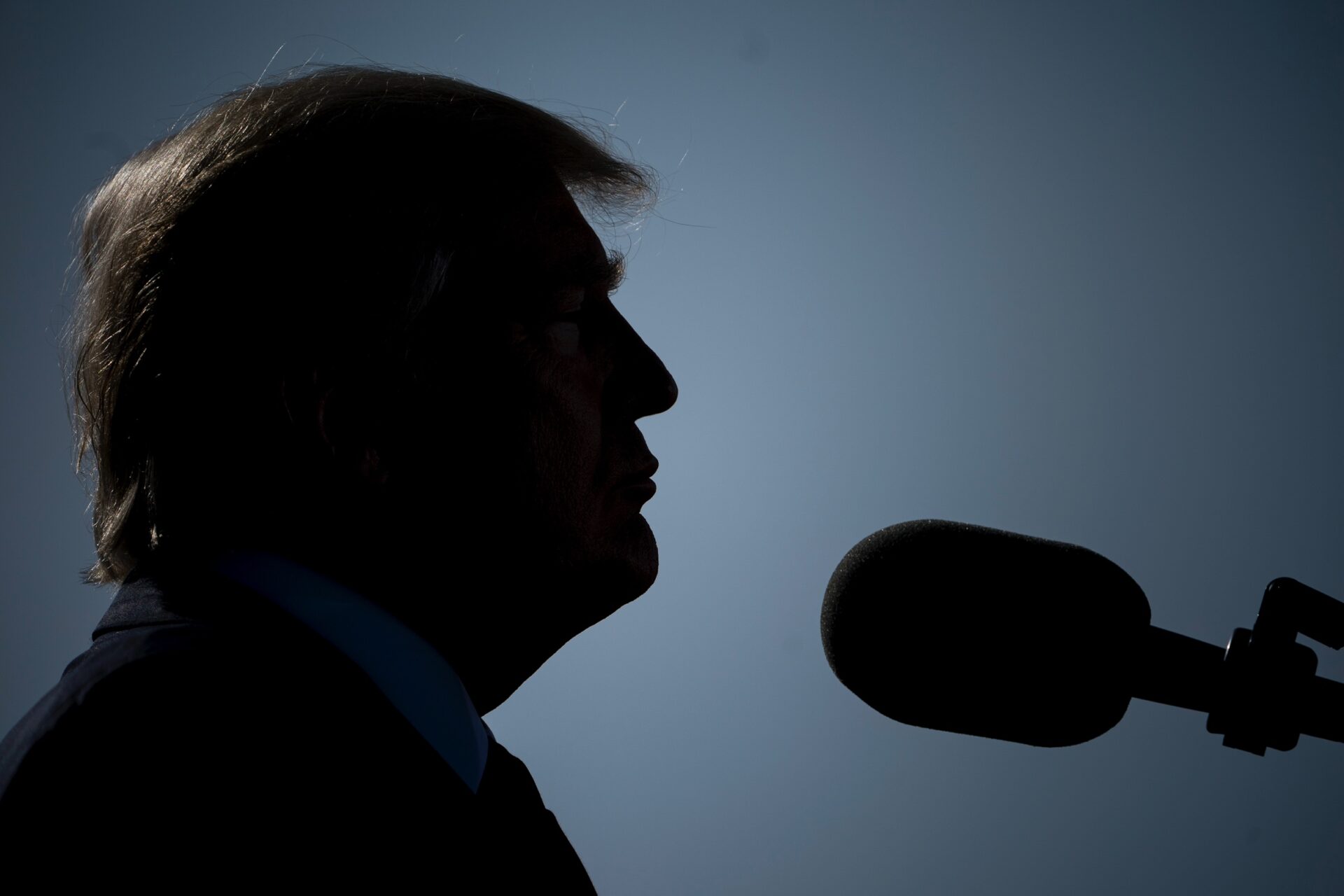 Donald Trump. Black women, Fat Black Women, Lisa Cook