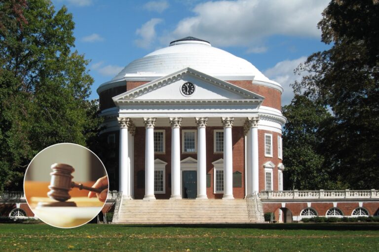 University Of Virginia, DEI
