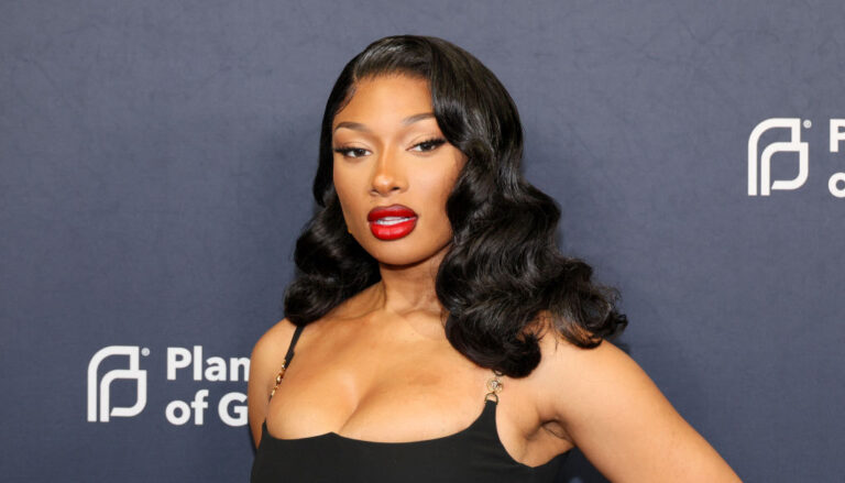 Megan Thee Stallion, foundation, gala