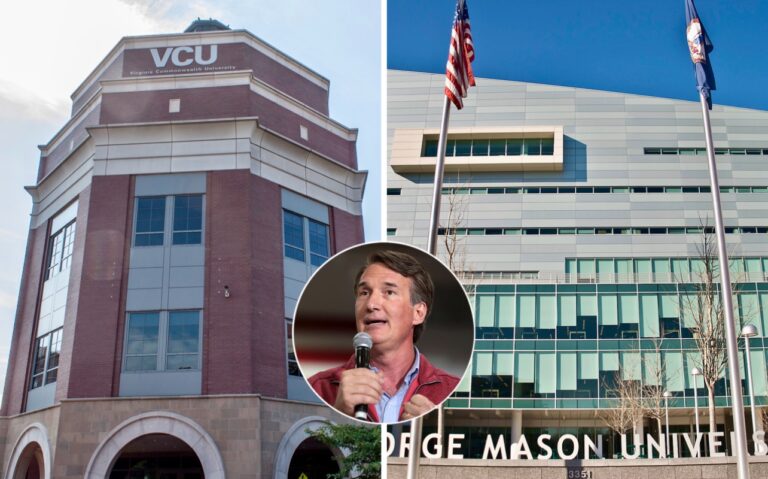 DEI, Virginia Universities