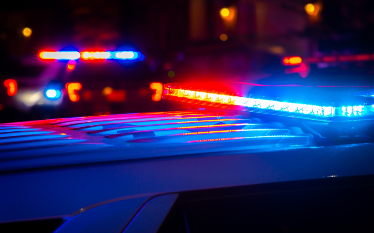 Teacher, Investigation, Elementary School