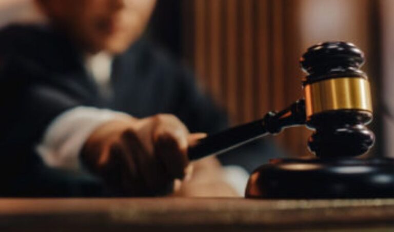 judge, racism remarks, recordings, Michigan, RICO, charges, Karmelo Anthony, Judge Joe Brown, food stamps,Talia C. Teneyuque