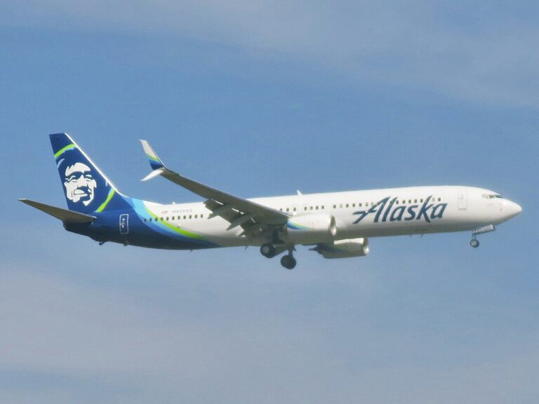Nelle Diala, Alaska Airlines, flight attendant, twerking,