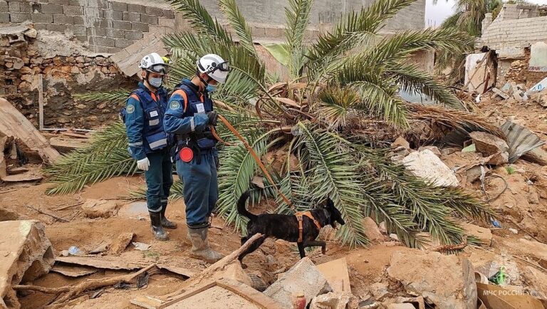 Libya, racial,, violence,,black migrants,, refugees