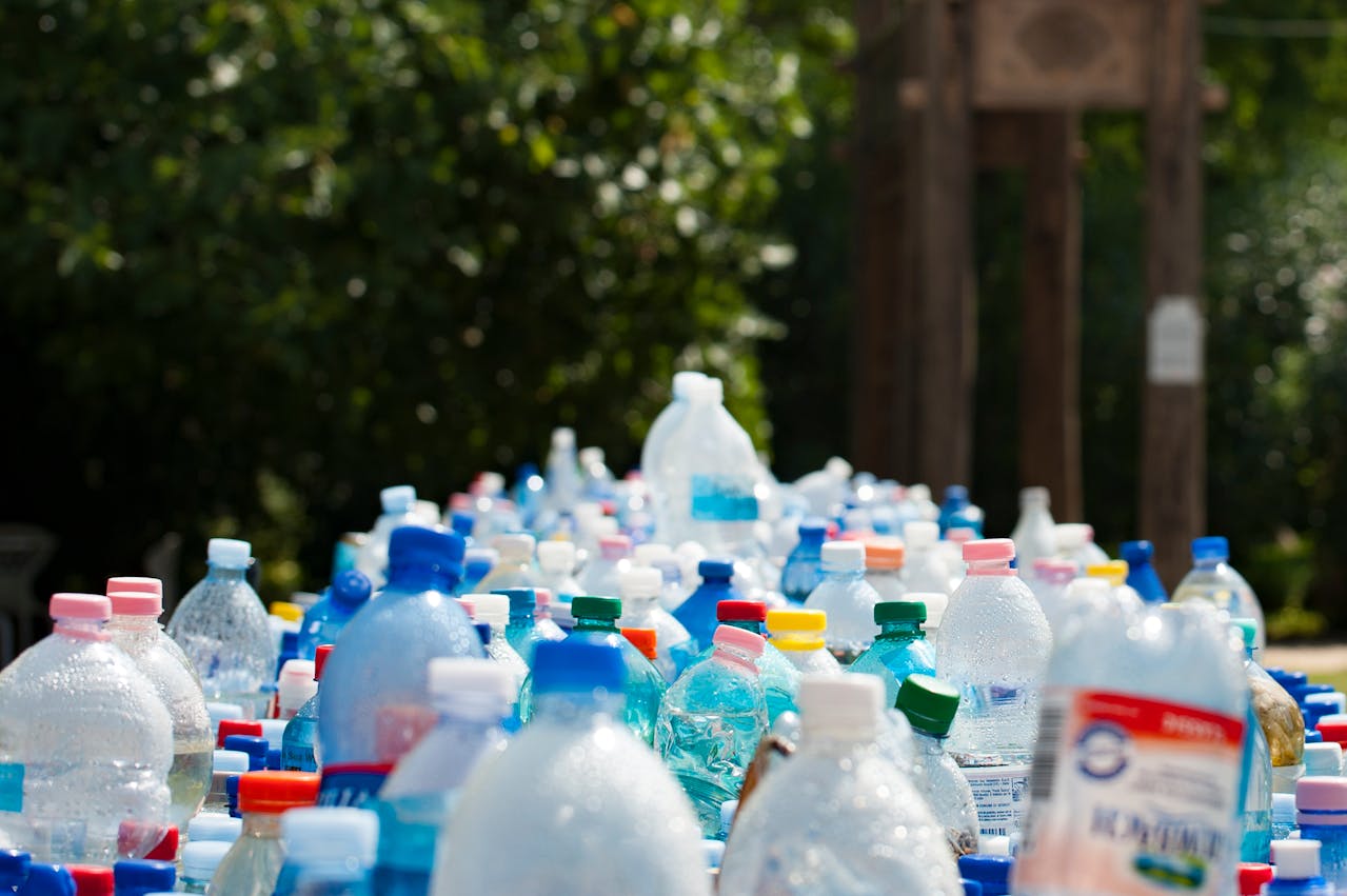 microplastics, bottled water, kidney, study,damage