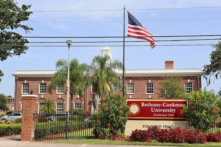 Bethune-Cookman University, Black Male College Explorers