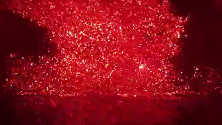 2026 WPS ANIVERSARY REEL-FINAL