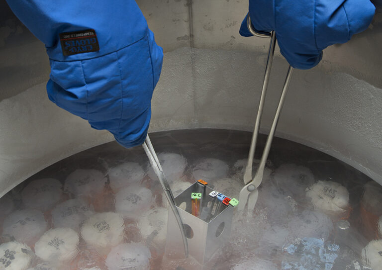 Maryland Councilwoman Helps Pass Law To Get Egg Freezing Covered By Insurance