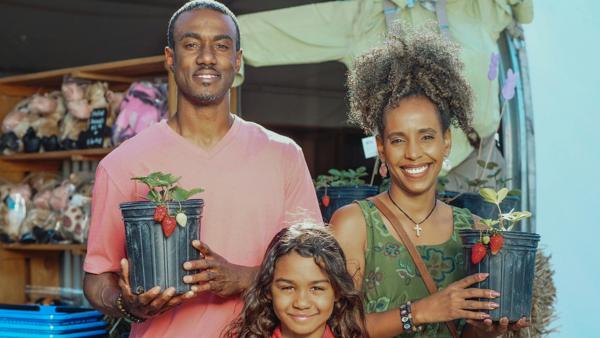 Garden, plants, food