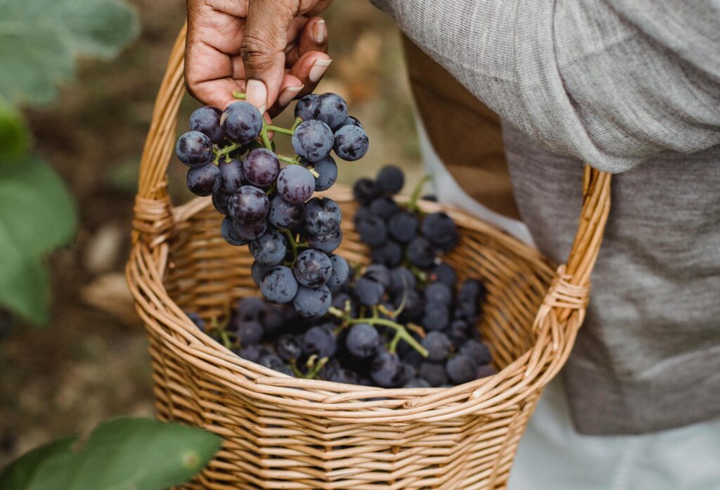 Nigerian Gemstone Dealer Opens Italian Boutique Hotel On 40-Acre Estate With Vineyard And Olive Grove