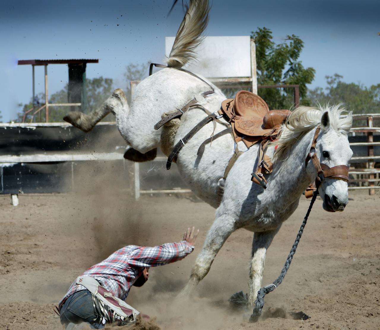 Love Island, rodeo,Arizona Invitational Black Rodeo, Taylor Williams