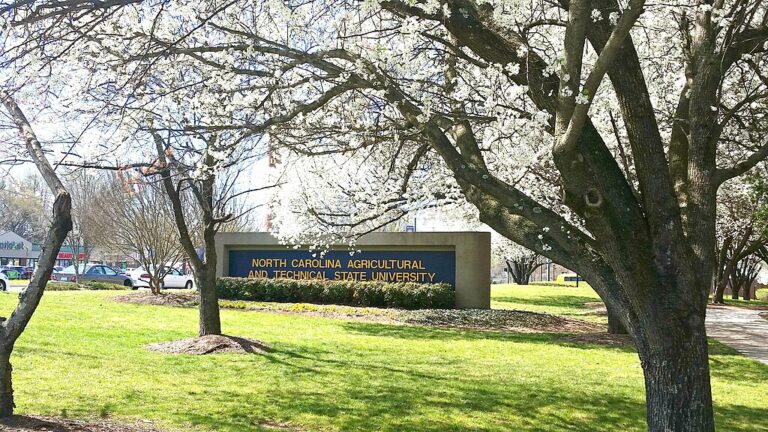 R&B Legend Sybil To Celebrate Her Aggie Pride at HBCU Homecoming Parade