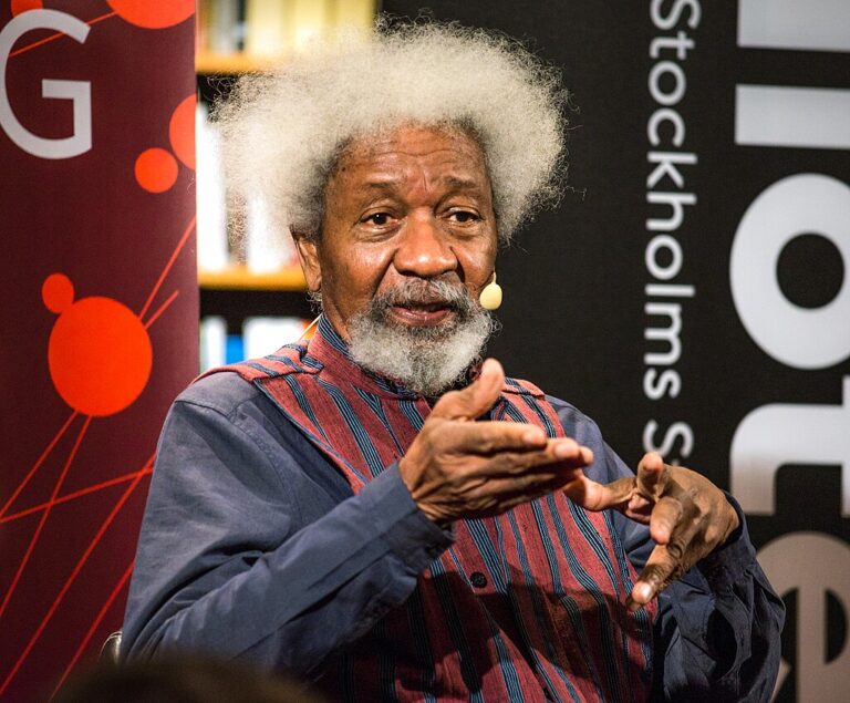 Wole Soyinka, Nobel Prize, Vissa