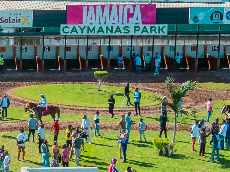 Jamaica, Hurricane Melissa, Mouttet Mile, Horse Racing, Jamaican Tourism,