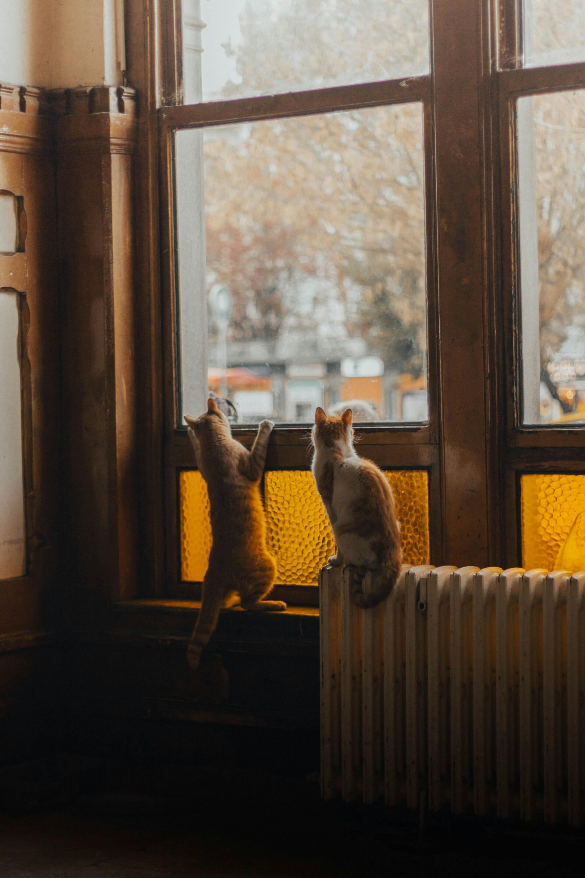 Detroit, heat, Alden Towers, apartments